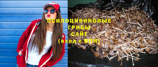 сатива Киренск