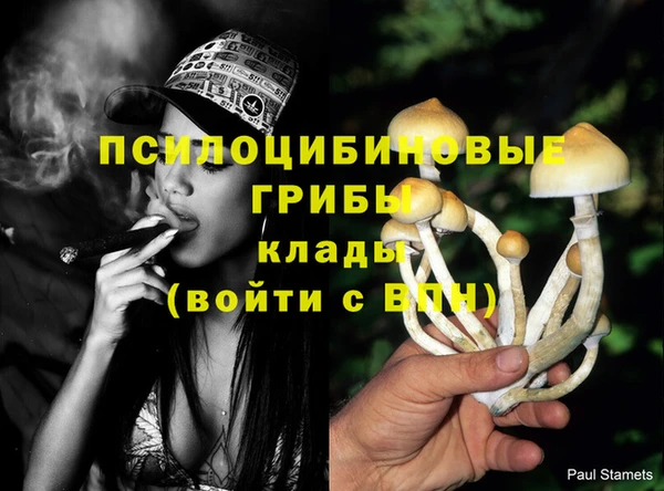 ALPHA PVP Козельск